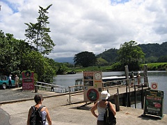 CairnsTC363 Daintree